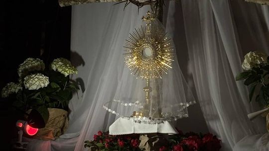 Gm. Wierzbica. Droga Krzyżowa i Liturgia Męki Pańskiej w parafii w Olchowcu [GALERIA ZDJĘĆ]