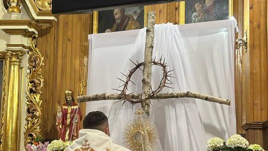 Gm. Wierzbica. Droga Krzyżowa i Liturgia Męki Pańskiej w parafii w Olchowcu [GALERIA ZDJĘĆ]
