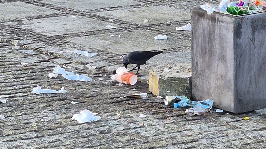 "Świąteczny" poranek na pl. Łuczkowskiego. Śmieci, puszki, butelki. Co tu się w nocy działo? [ZDJĘCIA]