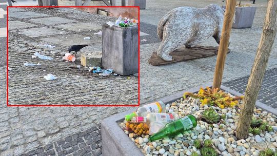"Świąteczny" poranek na pl. Łuczkowskiego. Śmieci, puszki, butelki. Co tu się w nocy działo? [ZDJĘCIA]