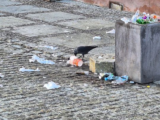 "Świąteczny" poranek na pl. Łuczkowskiego. Śmieci, puszki, butelki. Co tu się w nocy działo? [ZDJĘCIA]