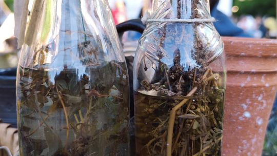 Chełmianie na obchodach Tysiąclecia Korony Polskiej w Warszawie [GALERIA ZDJĘĆ]