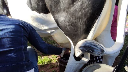 Chełmianie na obchodach Tysiąclecia Korony Polskiej w Warszawie [GALERIA ZDJĘĆ]