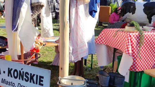 Chełmianie na obchodach Tysiąclecia Korony Polskiej w Warszawie [GALERIA ZDJĘĆ]