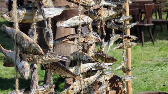 Chełmianie na obchodach Tysiąclecia Korony Polskiej w Warszawie [GALERIA ZDJĘĆ]