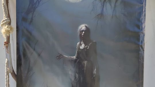 Chełmianie na obchodach Tysiąclecia Korony Polskiej w Warszawie [GALERIA ZDJĘĆ]