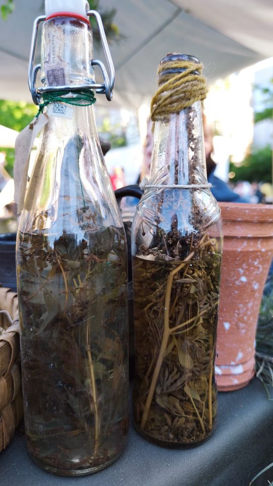 Chełmianie na obchodach Tysiąclecia Korony Polskiej w Warszawie [GALERIA ZDJĘĆ]