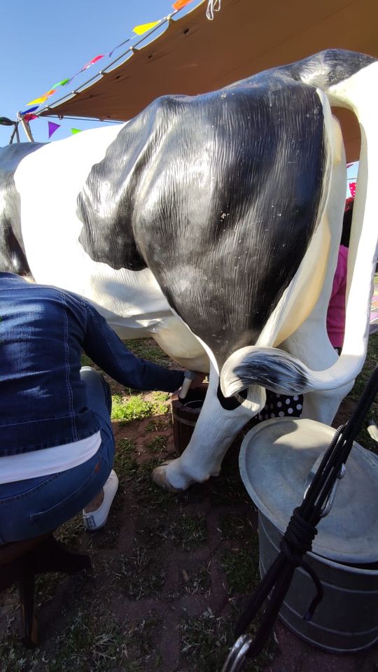 Chełmianie na obchodach Tysiąclecia Korony Polskiej w Warszawie [GALERIA ZDJĘĆ]