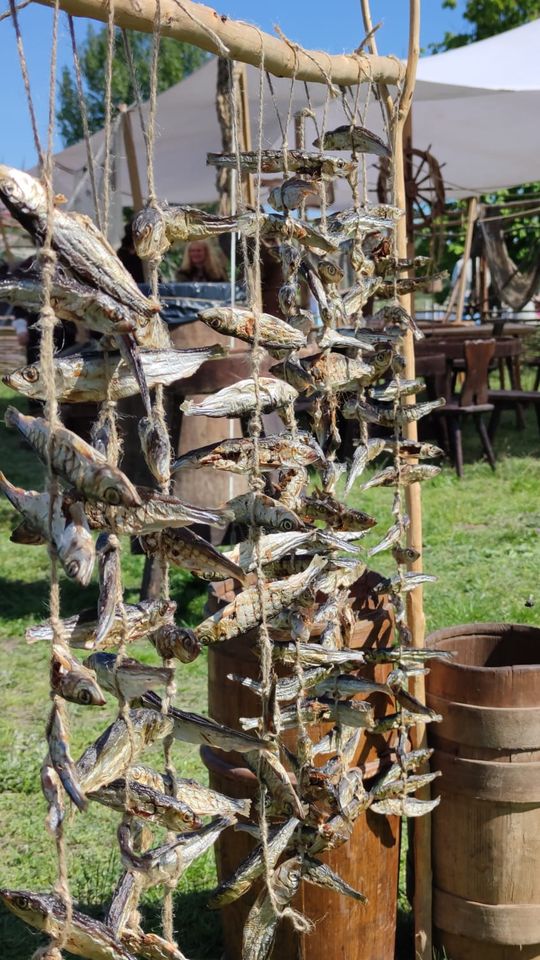 Chełmianie na obchodach Tysiąclecia Korony Polskiej w Warszawie [GALERIA ZDJĘĆ]