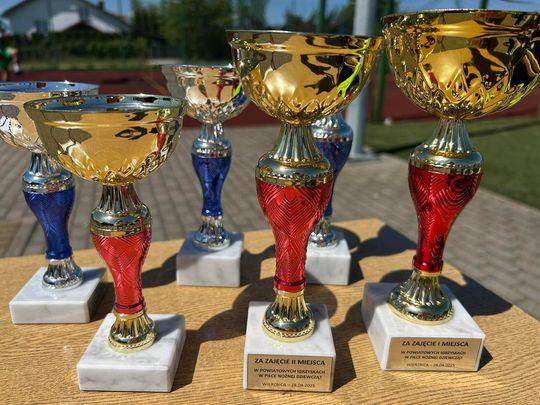 Gm. Wierzbica. Powiatowe Igrzyska Młodzieży Szkolnej w Piłce Nożnej Dziewcząt i Chłopców [GALERIA ZDJĘĆ]