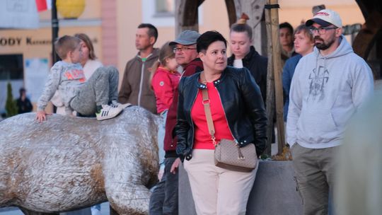 Wiec wyborczy Grzegorza Brauna w Chełmie na pl. Łuczkowskiego [GALERIA ZDJĘĆ]