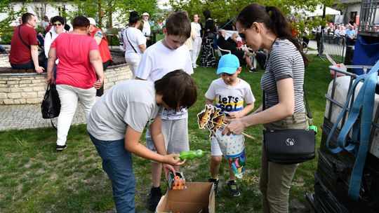 Krasnystaw. Tradycyjna Majówka z Karpiem [GALERIA ZDJĘĆ]