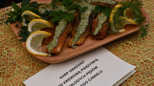 Krasnystaw. Tradycyjna Majówka z Karpiem [GALERIA ZDJĘĆ]