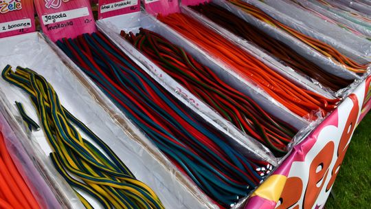 Krasnystaw. Tradycyjna Majówka z Karpiem [GALERIA ZDJĘĆ]