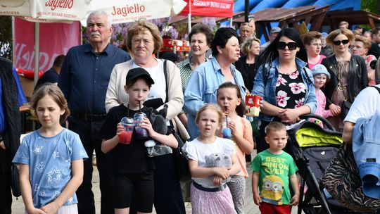 Krasnystaw. Tradycyjna Majówka z Karpiem [GALERIA ZDJĘĆ]