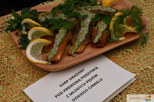 Krasnystaw. Tradycyjna Majówka z Karpiem [GALERIA ZDJĘĆ]