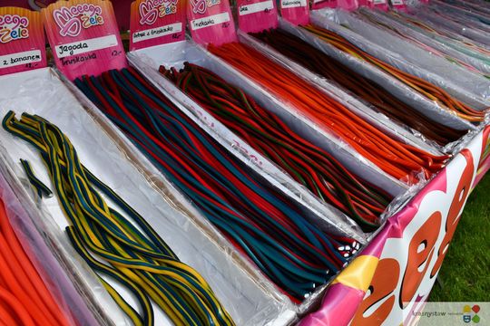 Krasnystaw. Tradycyjna Majówka z Karpiem [GALERIA ZDJĘĆ]