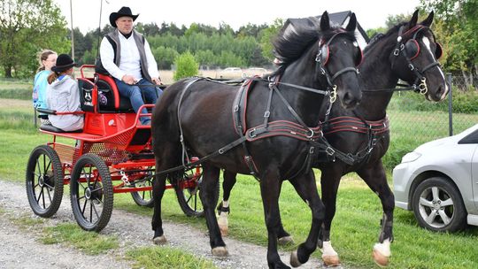 Majowa parada koni w Krasnymstawie. Dzień pełen atrakcji  [GALERIA ZDJĘĆ]
