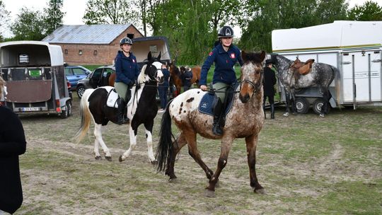 Majowa parada koni w Krasnymstawie. Dzień pełen atrakcji  [GALERIA ZDJĘĆ]