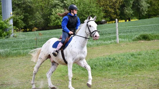 Majowa parada koni w Krasnymstawie. Dzień pełen atrakcji  [GALERIA ZDJĘĆ]