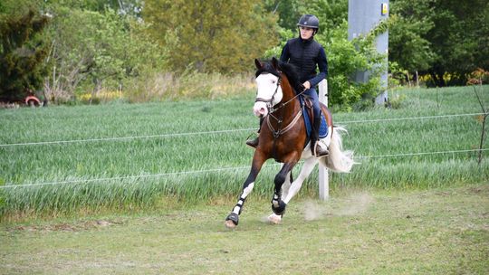 Majowa parada koni w Krasnymstawie. Dzień pełen atrakcji  [GALERIA ZDJĘĆ]