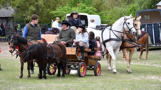 Majowa parada koni w Krasnymstawie. Dzień pełen atrakcji  [GALERIA ZDJĘĆ]