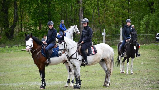 Majowa parada koni w Krasnymstawie. Dzień pełen atrakcji  [GALERIA ZDJĘĆ]