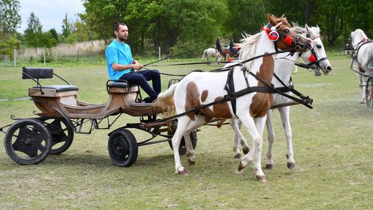 Majowa parada koni w Krasnymstawie. Dzień pełen atrakcji  [GALERIA ZDJĘĆ]