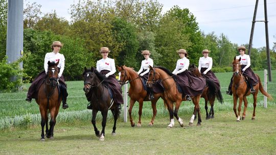 Majowa parada koni w Krasnymstawie. Dzień pełen atrakcji  [GALERIA ZDJĘĆ]