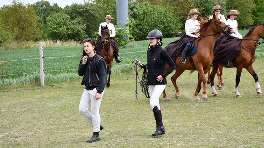 Majowa parada koni w Krasnymstawie. Dzień pełen atrakcji  [GALERIA ZDJĘĆ]