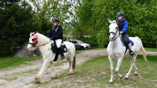 Majowa parada koni w Krasnymstawie. Dzień pełen atrakcji  [GALERIA ZDJĘĆ]