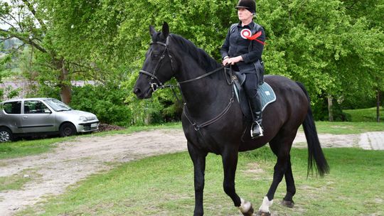 Majowa parada koni w Krasnymstawie. Dzień pełen atrakcji  [GALERIA ZDJĘĆ]