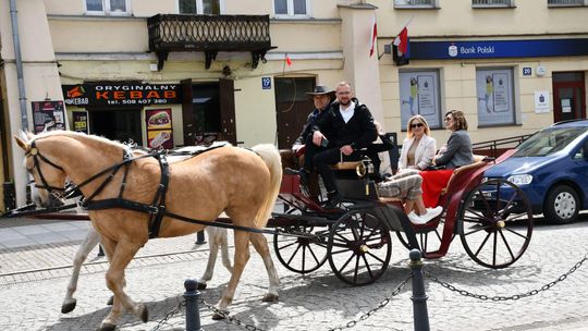 Majowa parada koni w Krasnymstawie. Dzień pełen atrakcji  [GALERIA ZDJĘĆ]