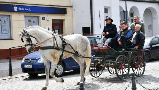 Majowa parada koni w Krasnymstawie. Dzień pełen atrakcji  [GALERIA ZDJĘĆ]