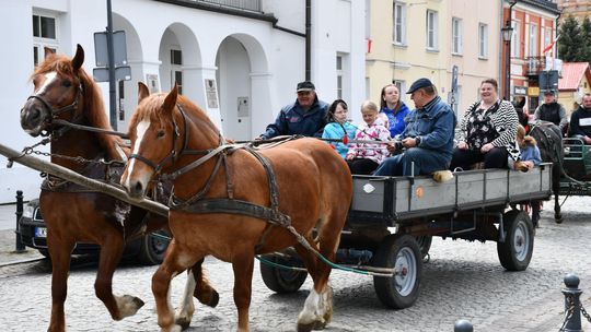 Majowa parada koni w Krasnymstawie. Dzień pełen atrakcji  [GALERIA ZDJĘĆ]