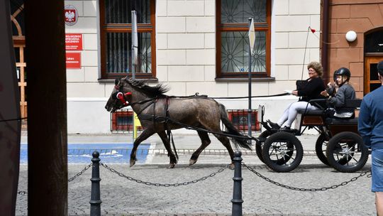 Majowa parada koni w Krasnymstawie. Dzień pełen atrakcji  [GALERIA ZDJĘĆ]