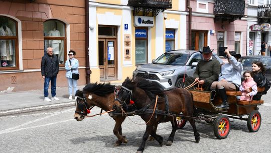 Majowa parada koni w Krasnymstawie. Dzień pełen atrakcji  [GALERIA ZDJĘĆ]