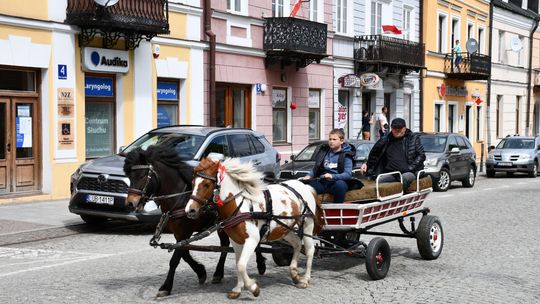 Majowa parada koni w Krasnymstawie. Dzień pełen atrakcji  [GALERIA ZDJĘĆ]