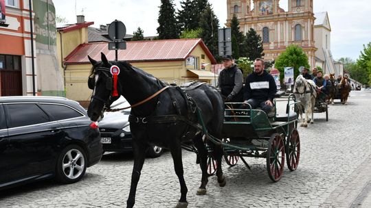 Majowa parada koni w Krasnymstawie. Dzień pełen atrakcji  [GALERIA ZDJĘĆ]