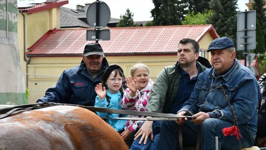 Majowa parada koni w Krasnymstawie. Dzień pełen atrakcji  [GALERIA ZDJĘĆ]