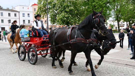 Majowa parada koni w Krasnymstawie. Dzień pełen atrakcji  [GALERIA ZDJĘĆ]