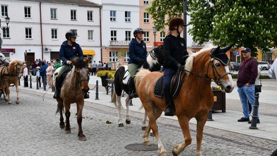 Majowa parada koni w Krasnymstawie. Dzień pełen atrakcji  [GALERIA ZDJĘĆ]