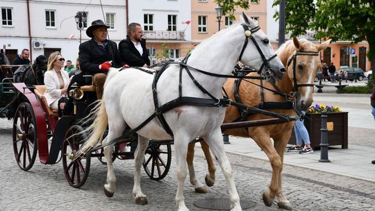 Majowa parada koni w Krasnymstawie. Dzień pełen atrakcji  [GALERIA ZDJĘĆ]