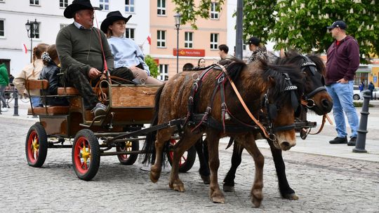 Majowa parada koni w Krasnymstawie. Dzień pełen atrakcji  [GALERIA ZDJĘĆ]