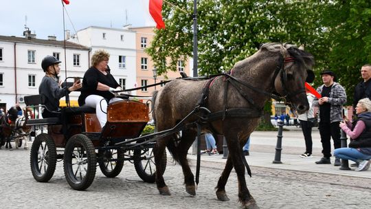 Majowa parada koni w Krasnymstawie. Dzień pełen atrakcji  [GALERIA ZDJĘĆ]