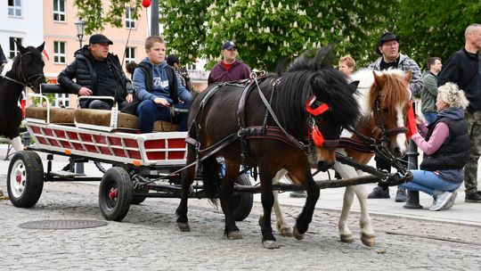 Majowa parada koni w Krasnymstawie. Dzień pełen atrakcji  [GALERIA ZDJĘĆ]