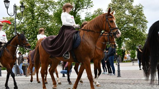 Majowa parada koni w Krasnymstawie. Dzień pełen atrakcji  [GALERIA ZDJĘĆ]