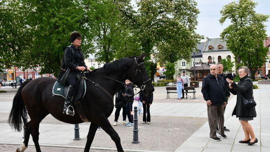 Majowa parada koni w Krasnymstawie. Dzień pełen atrakcji  [GALERIA ZDJĘĆ]