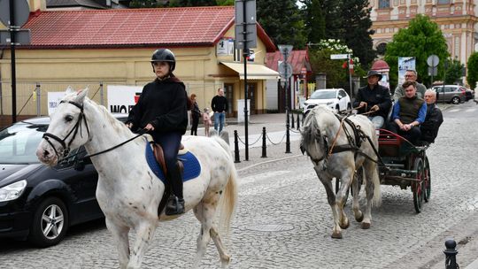 Majowa parada koni w Krasnymstawie. Dzień pełen atrakcji  [GALERIA ZDJĘĆ]