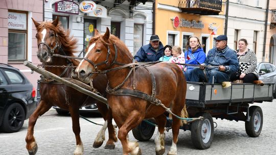 Majowa parada koni w Krasnymstawie. Dzień pełen atrakcji  [GALERIA ZDJĘĆ]